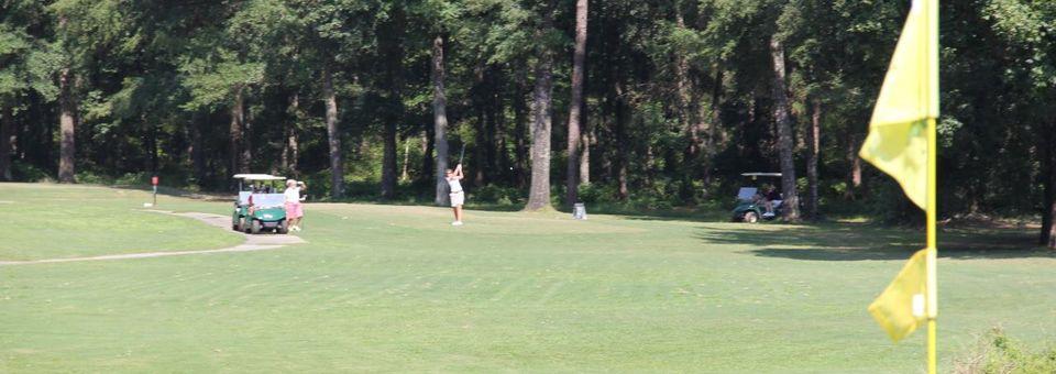 Indian Springs Golf Club - photo 3