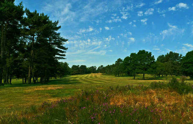 Crowborough Beacon Golf Club - photo 1