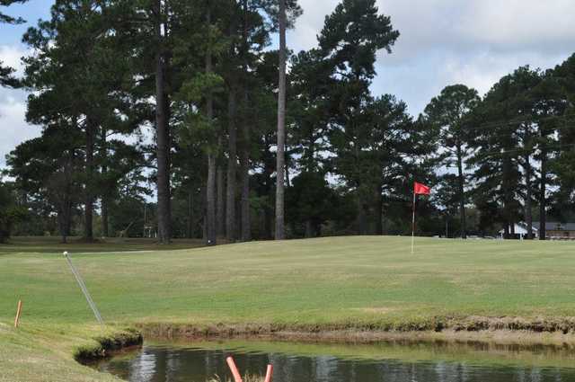 Holly Hill - photo 2