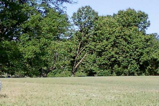 Hazelburn - photo 2
