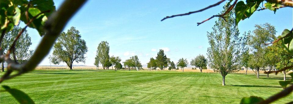 Lake Hills Golf Course - photo 4