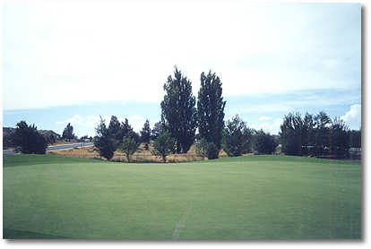 The Greens at Redmond Golf Course - photo 5
