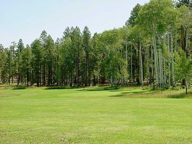 Alpine Country Club - photo 2