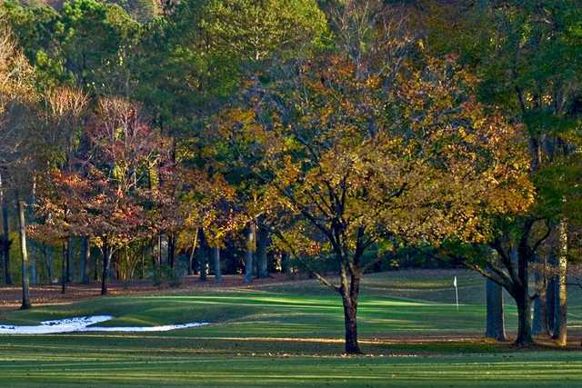 Shoal Creek - photo 5
