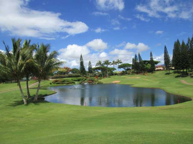 Waikele Country Club - photo 3
