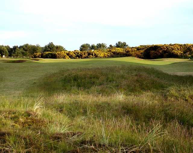 Panmure Golf Club - photo 4