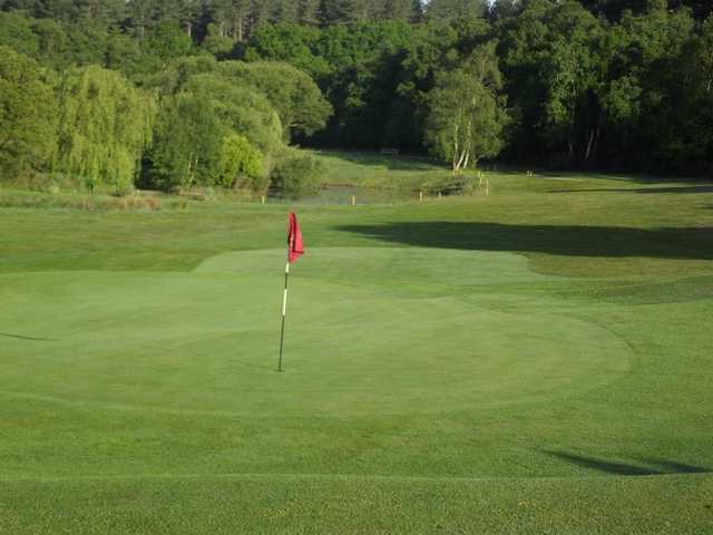 Wareham Golf Club - photo 6