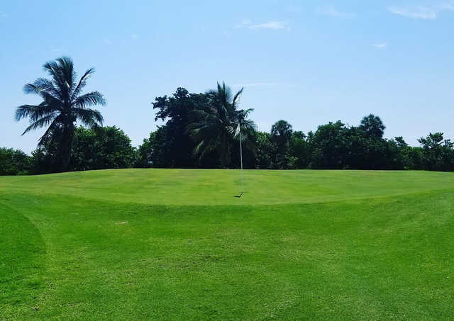 Lake Worth Beach Golf Club - photo 5