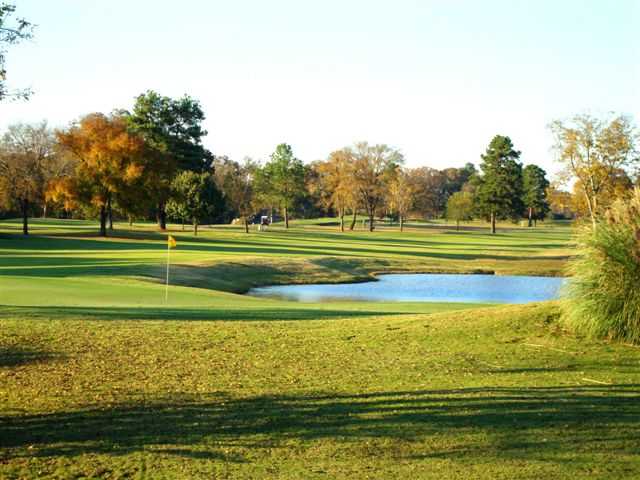 Palmetto - photo 2