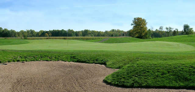 Beeches 1 - photo 4