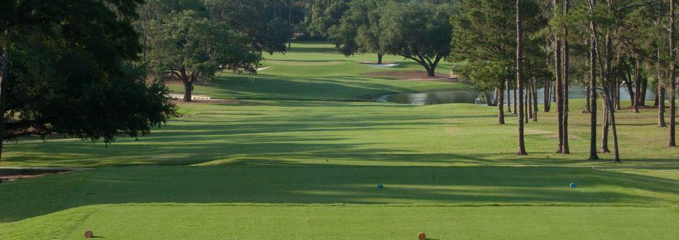 Ocala Golf Club - photo 7