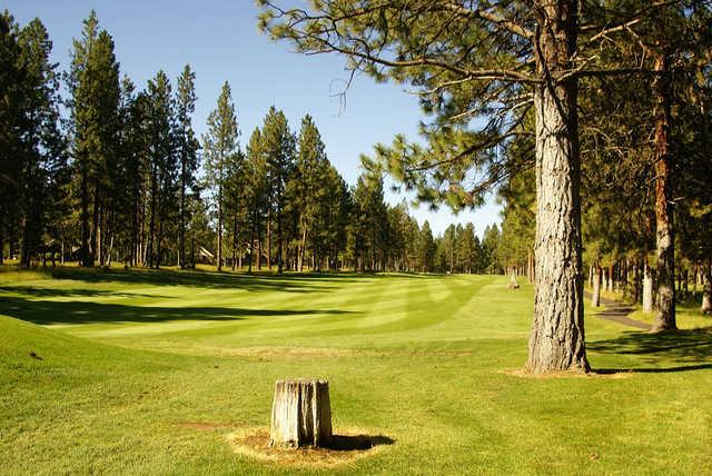 Widgi Creek Golf Club - photo 4