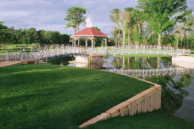 Laguna 1
