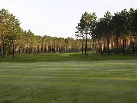 Hayward National - photo 1