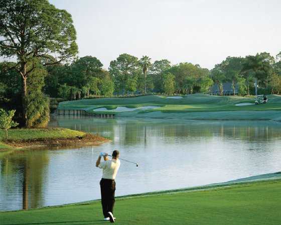 Palmetto Pines Golf Course - photo 3