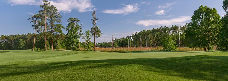 The Club at Osprey Cove - photo 6