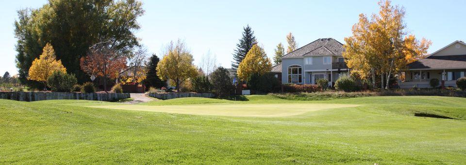 Boomerang Links - photo 4