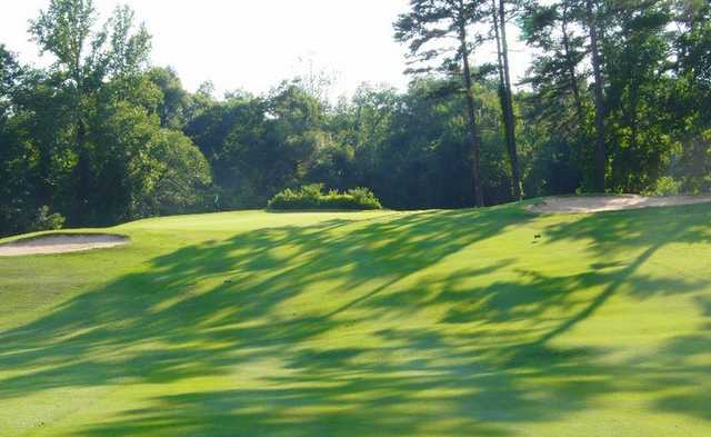 Legacy Pines - photo 4