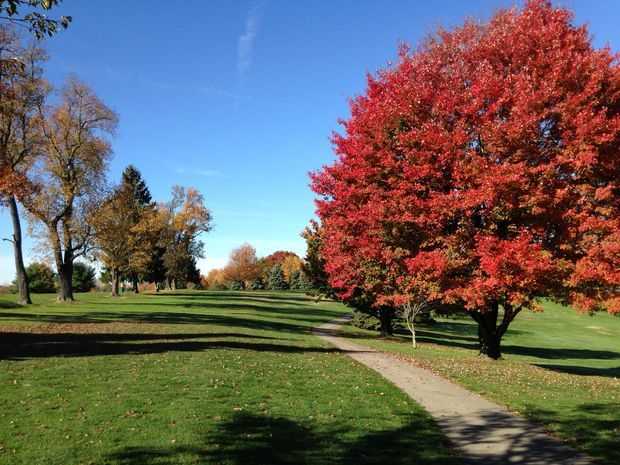 Hiland Golf Course - photo 2
