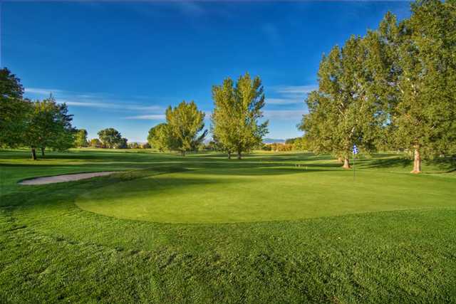 Forest Dale Golf Club - photo 3