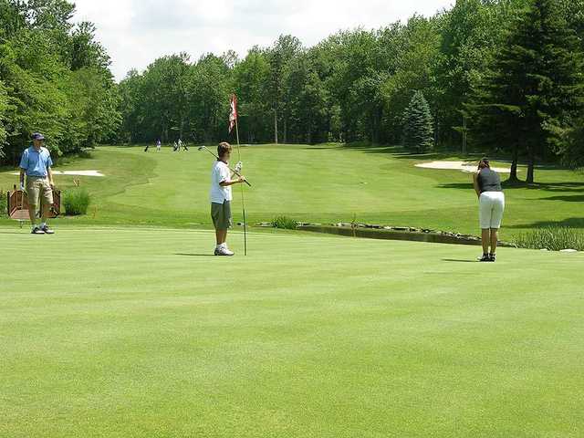 Lake Naomi Timber Trails Golf Club - photo 3