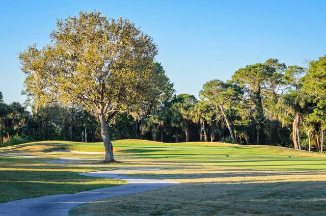 The Great Outdoors Golf Club - photo 3