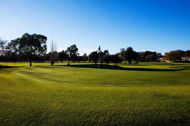 The Grange Golf Club - photo 2