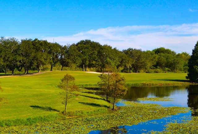 Mangrove Bay Golf Course - photo 2