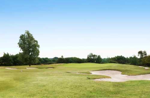 Dorset Golf & Country Club - photo 5