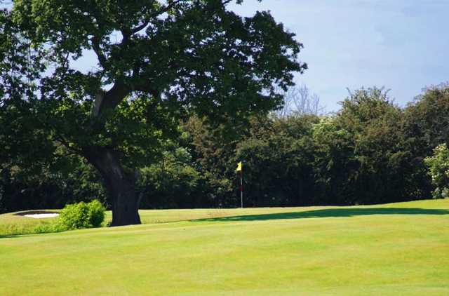 The Oaks at Mollington Golf Club - photo 6