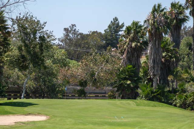 Cottonwood Golf Club - Ivanhoe - photo 5