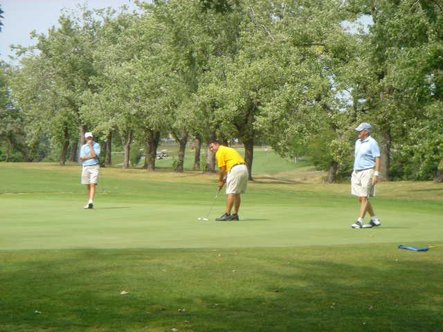 Sheridan Park Golf Course - photo 1