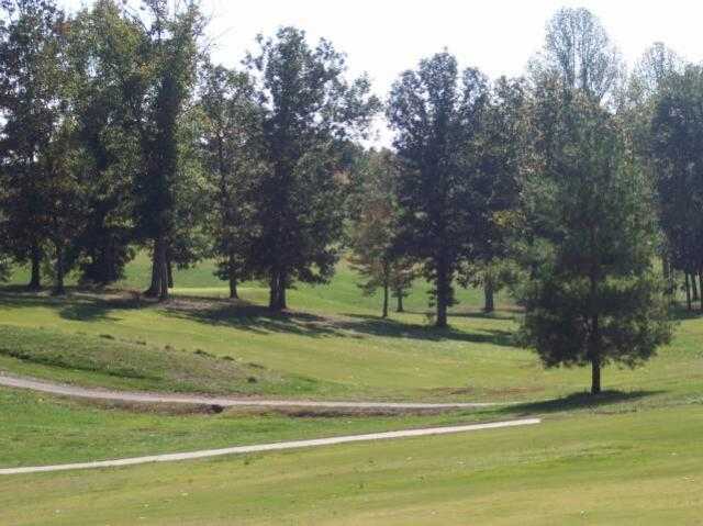 Dixie Oaks