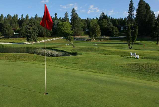 Ponderosa Springs - photo 3