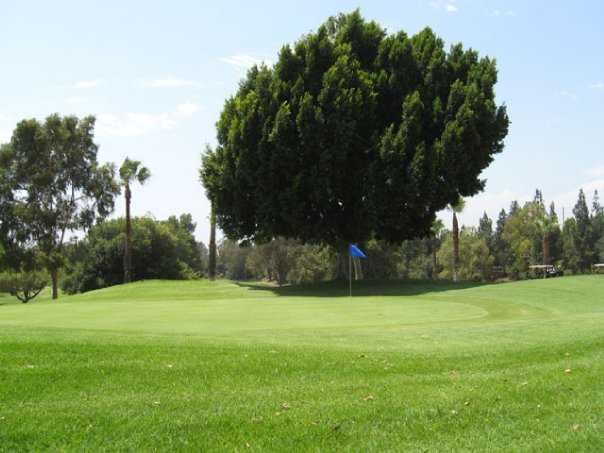 Birch Hills Golf Course - photo 4