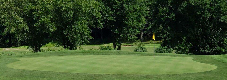 Meadows Golf Club - photo 4