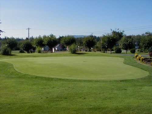 Blue Boy West Golf Course - photo 2