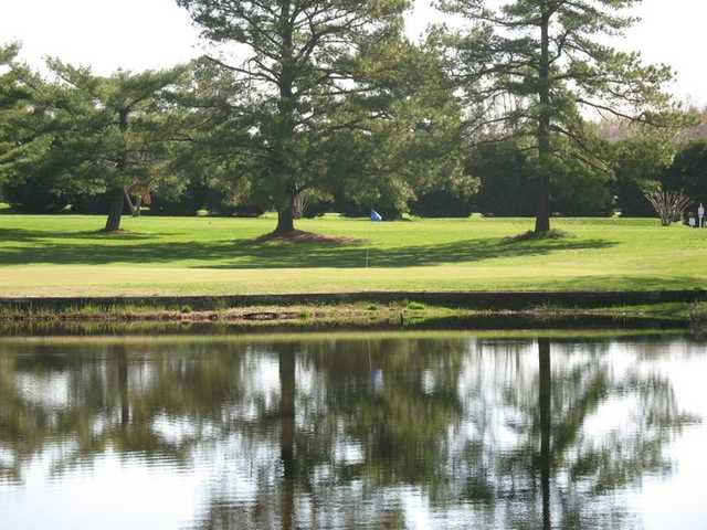 Blue Heron - photo 1
