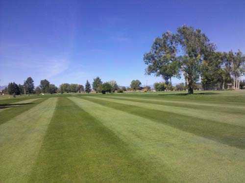 Longmeadow Country Club - photo 1