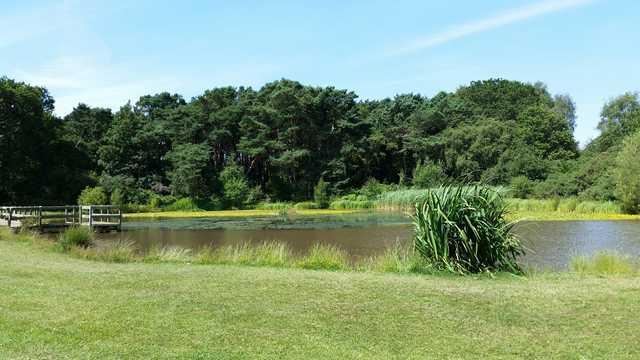 Queens Park Golf Course - Dorset - photo 4