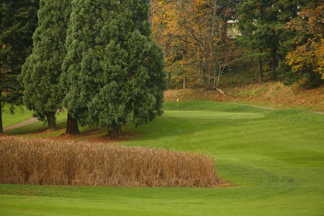 Rose City Golf Course - photo 2
