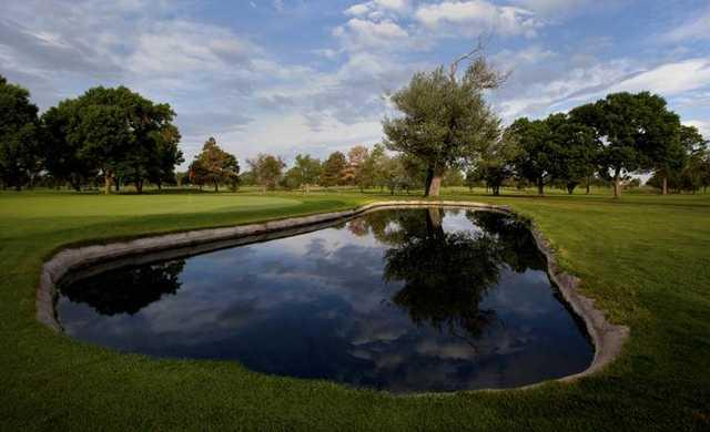 Fitzsimons Golf Course - photo 2