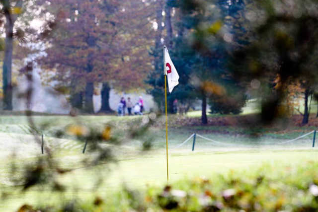 Golf du Tremblay sur Mauldre - Chateau Bertin - photo 3