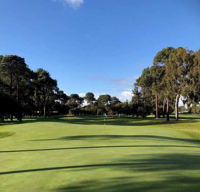 Collier Park Golf Club - photo 3