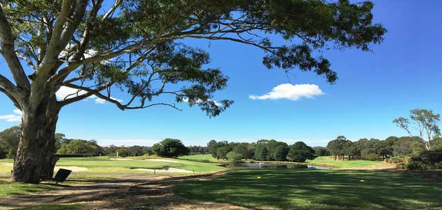 Cabramatta Golf Club - photo 7