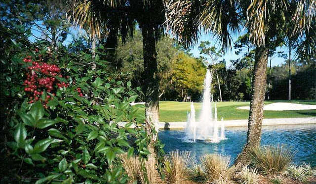 Sweetwater Golf & Country Club - photo 8