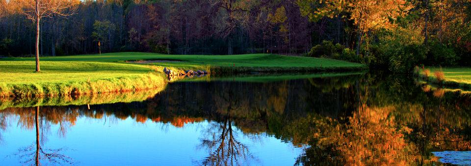 Wild Wood Country Club - photo 5
