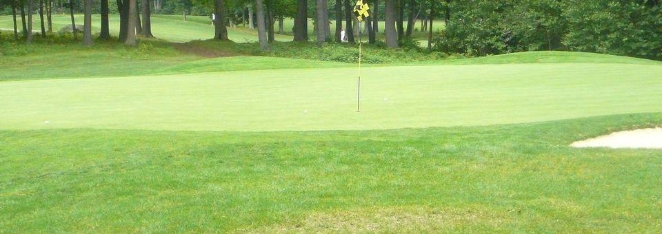 Bedrock Golf Club - photo 4
