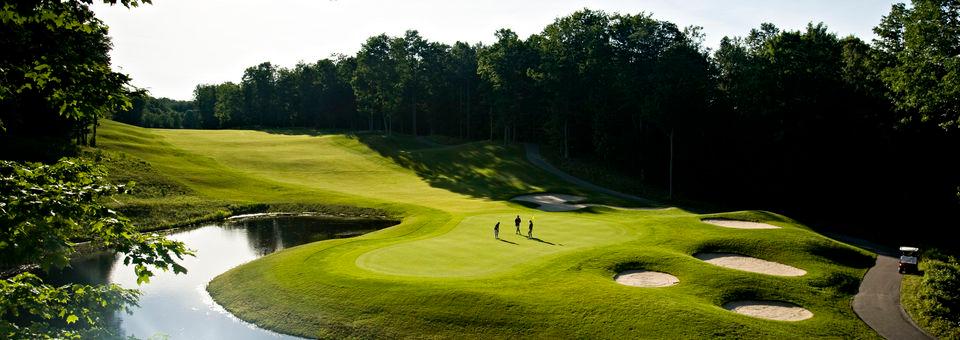 Cedar River Golf Course at Shanty Creek Resorts - photo 8
