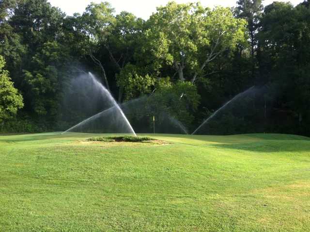 Turtle Pointe - photo 3